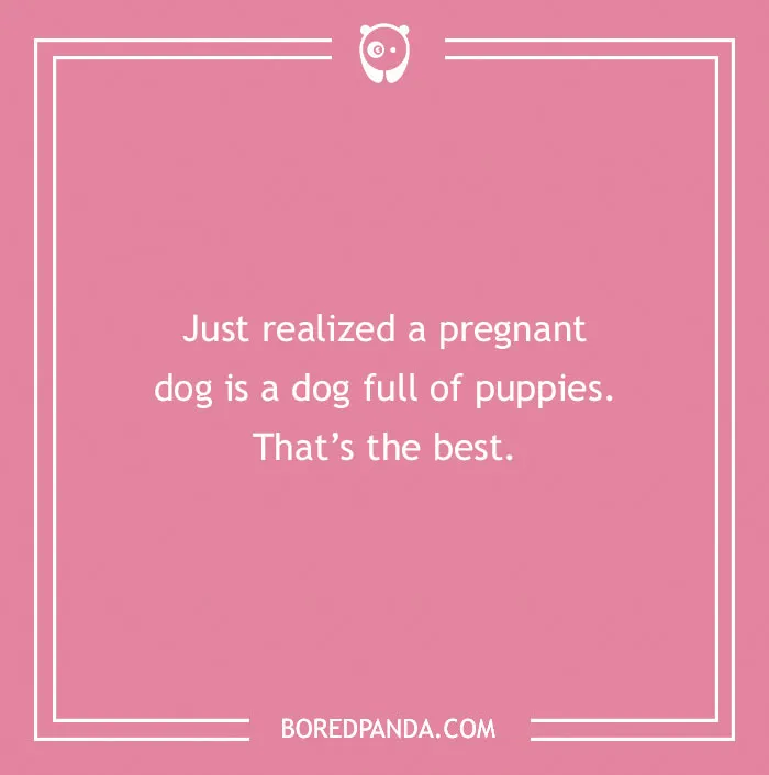 118 Wildly Amazing Animal Jokes