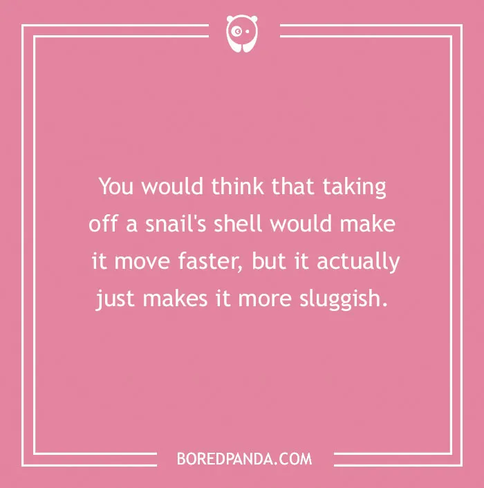 118 Wildly Amazing Animal Jokes