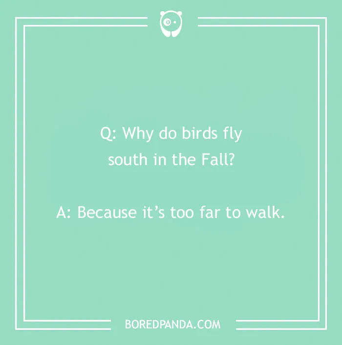 118 Wildly Amazing Animal Jokes