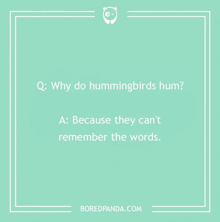118 Wildly Amazing Animal Jokes