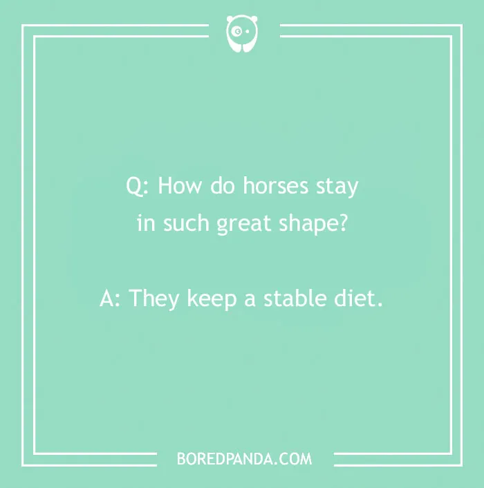 118 Wildly Amazing Animal Jokes