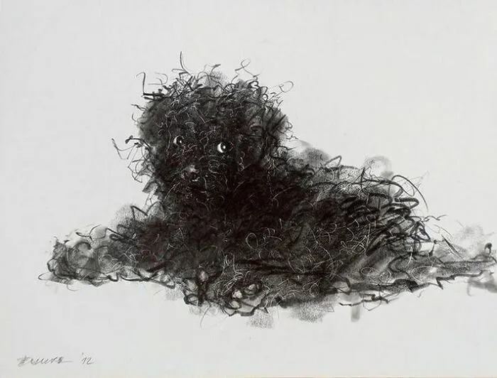 (Untitled), Penovác, Endre,  2012