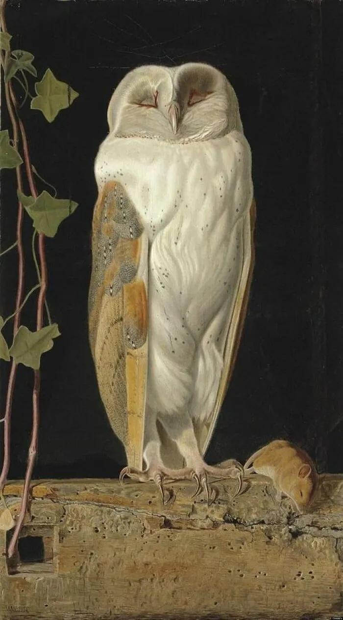 The White Owl,   William James Webbe, 1856