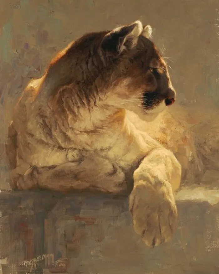 Mountain Lion, Greg Beecham, 2023