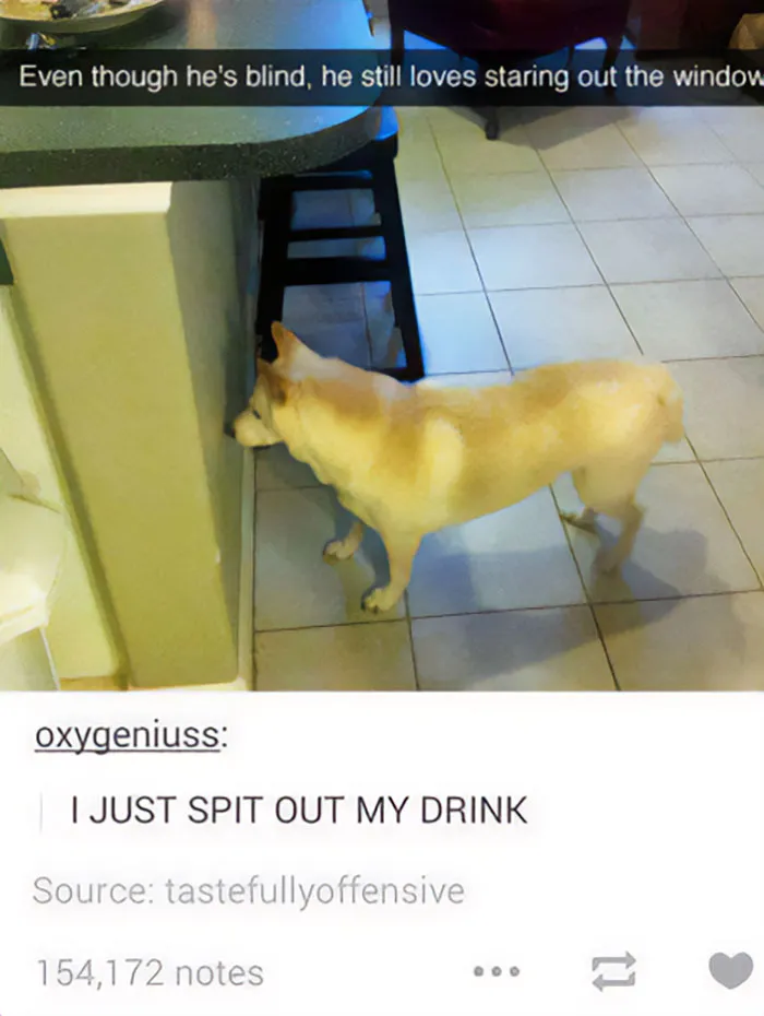 50 Painfully Funny Memes And Jokes That You Might Relate To All Too Well