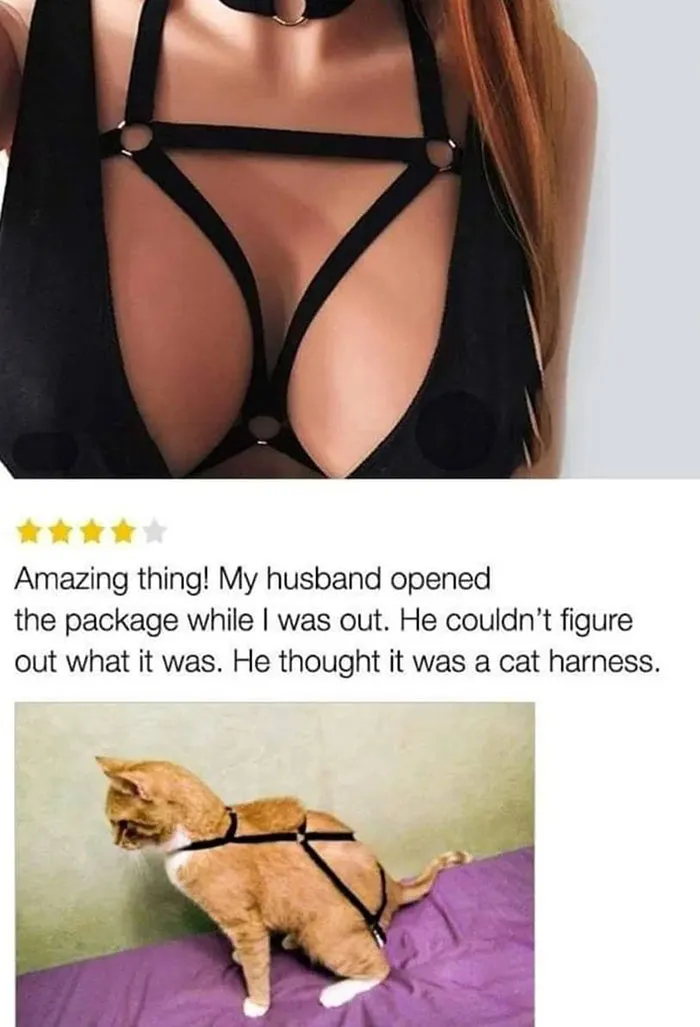 50 Painfully Funny Memes And Jokes That You Might Relate To All Too Well