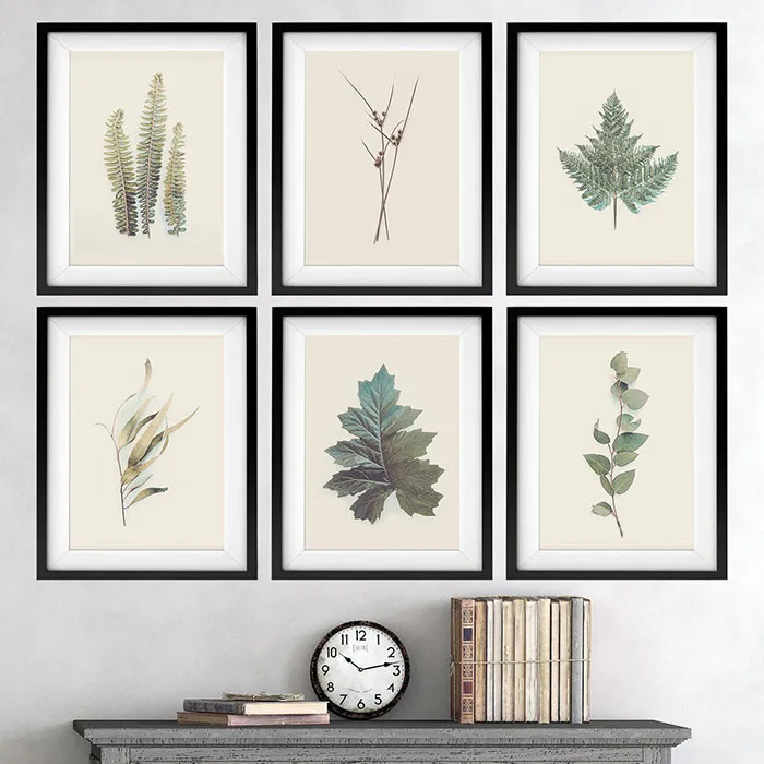 DIY Framed Leaf Art