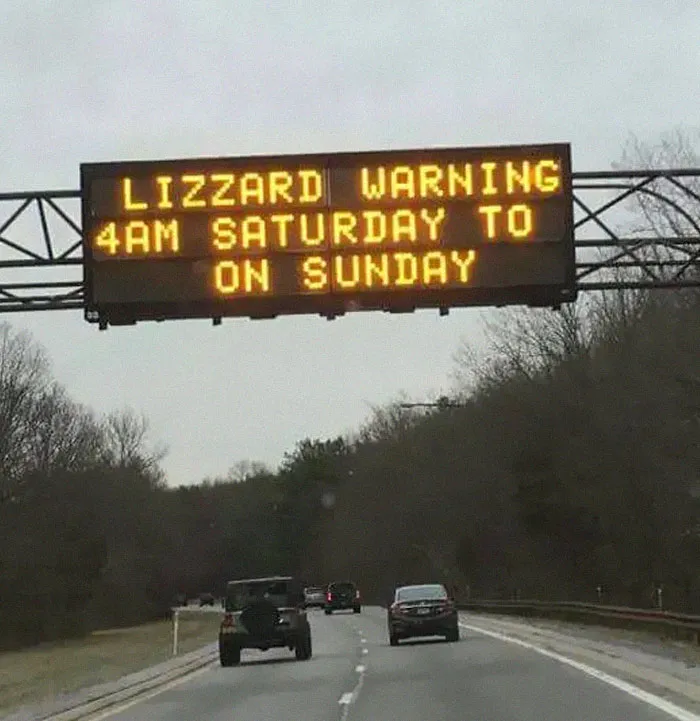 Watch Out For Those Lizards