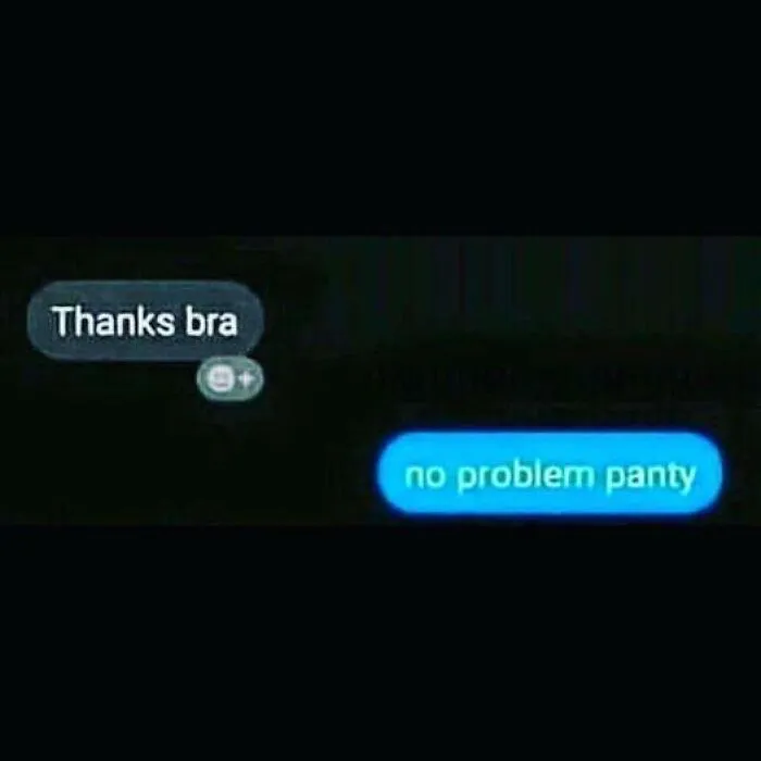 Text message screenshot showing autocorrect error with phrase no problem panty instead of a normal reply.