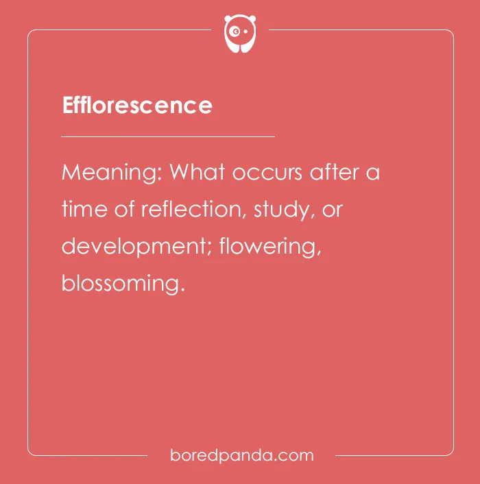 150 Euphonious Beautiful Words To Add To Your Dictionary