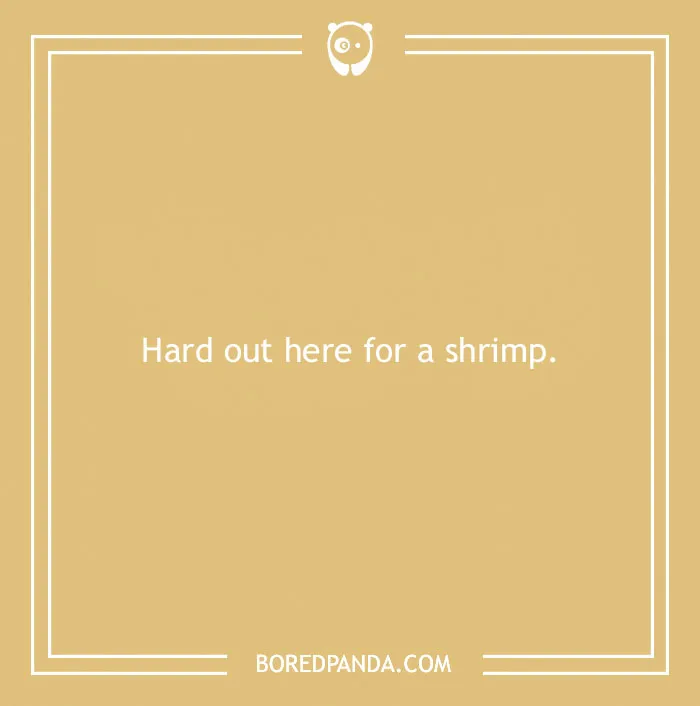 Beach pun on a tan background reading hard out here for a shrimp, related to beach puns and wordplay by Bored Panda.