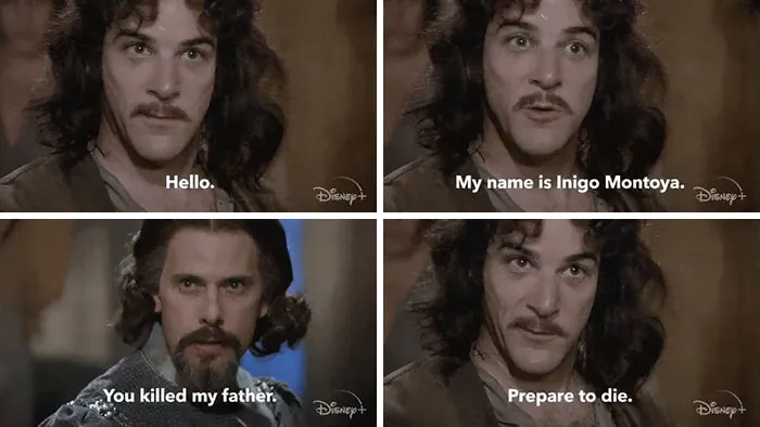 The Princess Bride