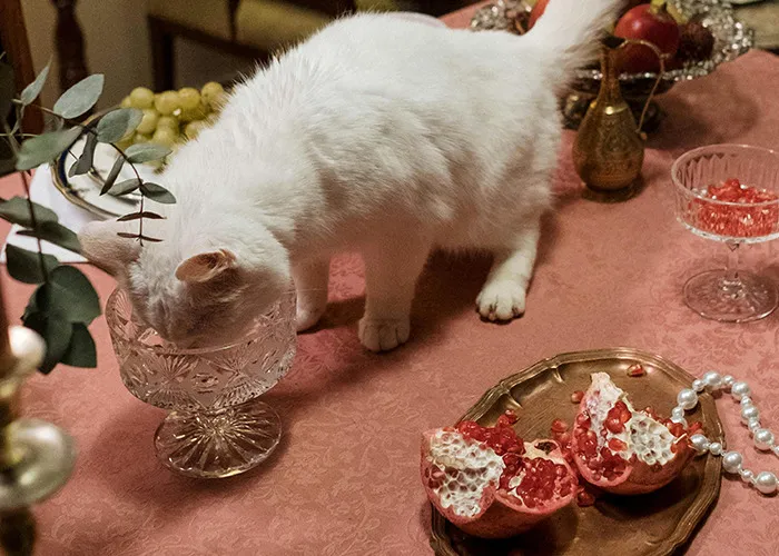 "What's The Most Bizarre 'House Rule' You've Encountered At Someone Else's Home?" (40 Answers)