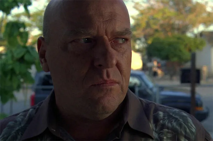 Hank looking from Breaking Bad
