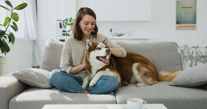 Can Dogs Laugh? Understanding Your Dog's Sense of Humor