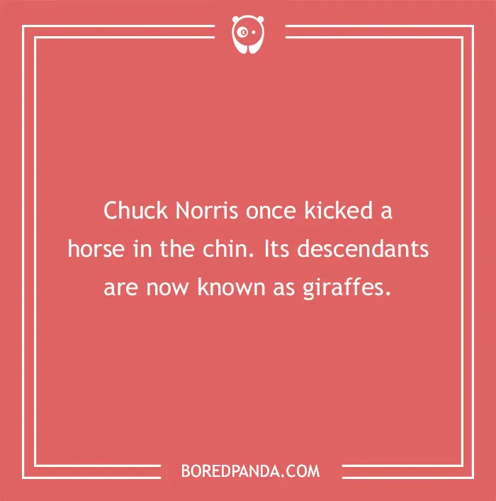 169 Chuck Norris Jokes (From Classic To Brand-New)