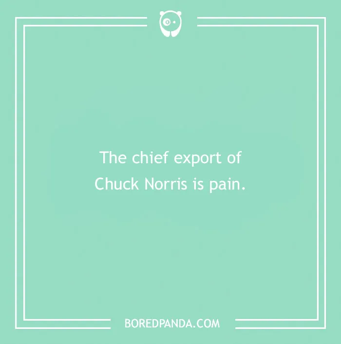 "Mint green Chuck Norris joke image with text: 'The chief export of Chuck Norris is pain.'"