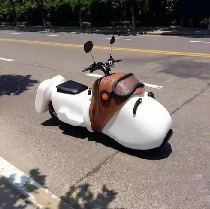 Snoopy Bike, Taiwan