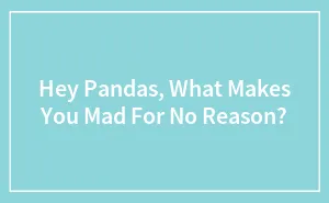 Hey Pandas, What Makes You Mad For No Reason? (Closed)