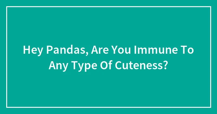 Hey Pandas, Are You Immune To Any Type Of Cuteness? (Closed)