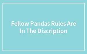 Fellow Pandas Rules Are In The Discription