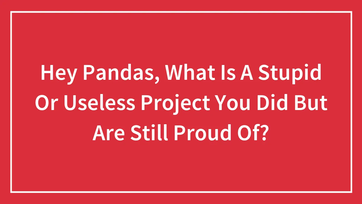 Hey Pandas, What Is A Stupid Or Useless Project You Did But Are Still Proud Of?