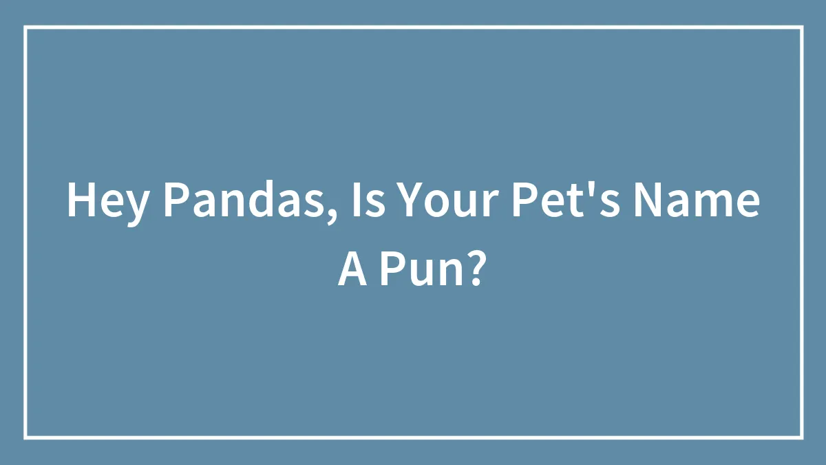 Hey Pandas, Is Your Pet's Name A Pun? (Closed)