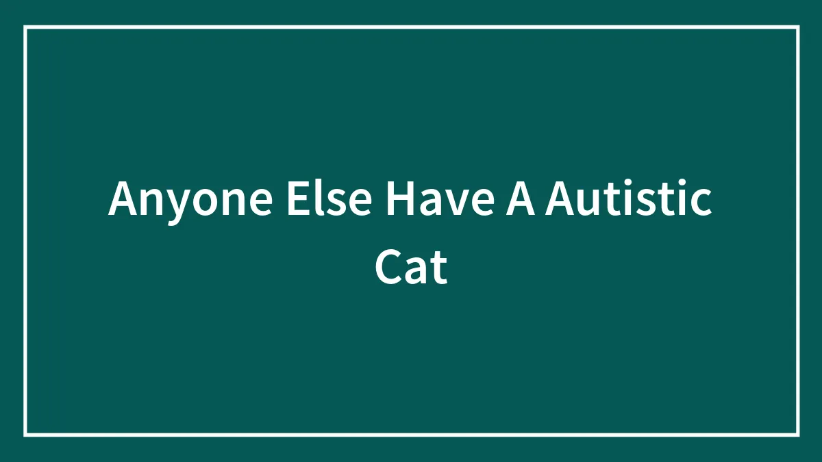 Anyone Else Have A Autistic Cat