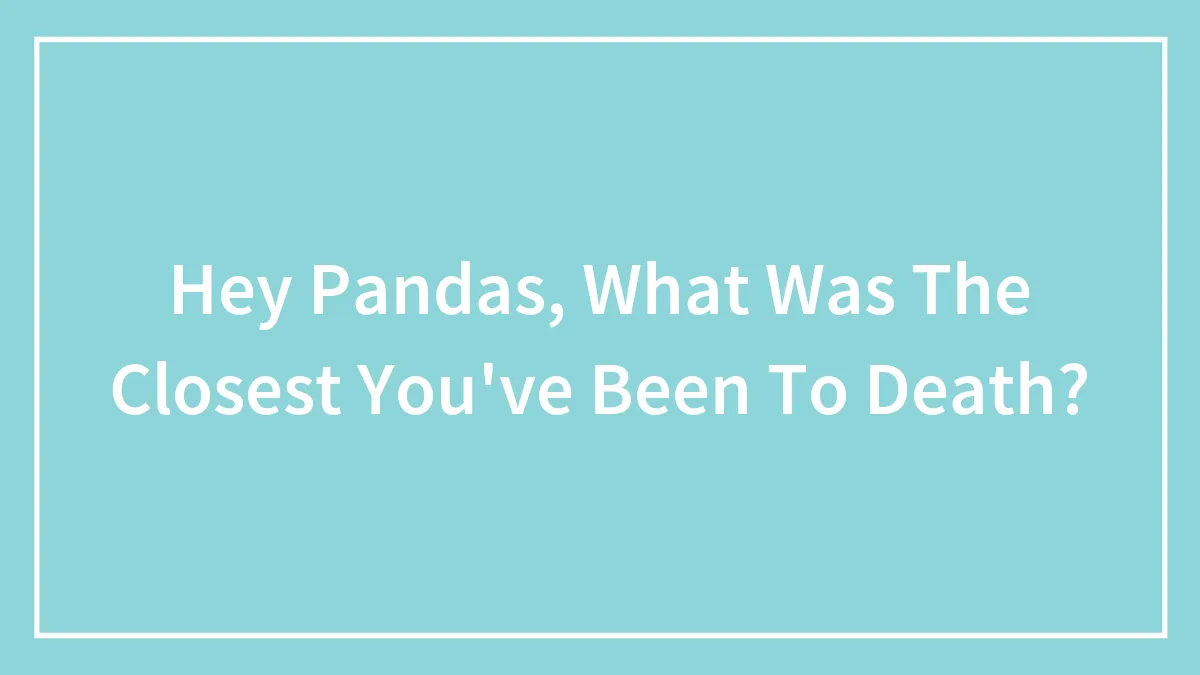 Hey Pandas, What Was The Closest You've Been To Death?