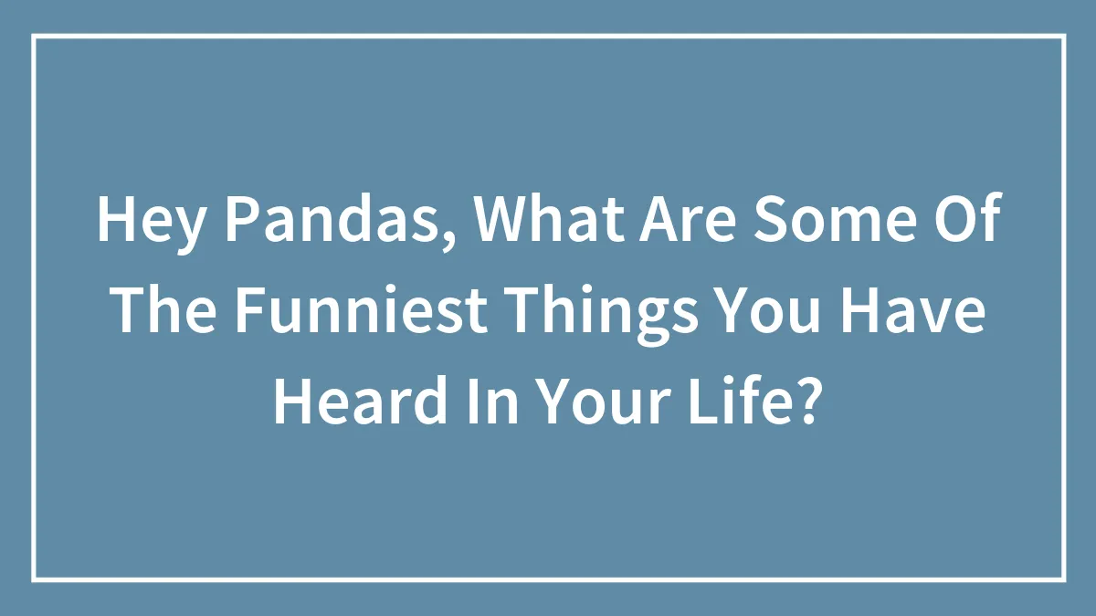 Hey Pandas, What Are Some Of The Funniest Things You Have Heard In Your Life? (Closed)