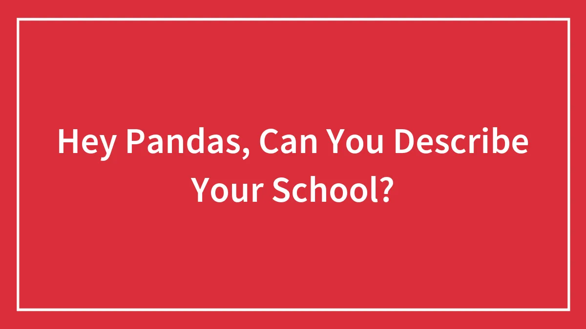 Hey Pandas, Can You Describe Your School?