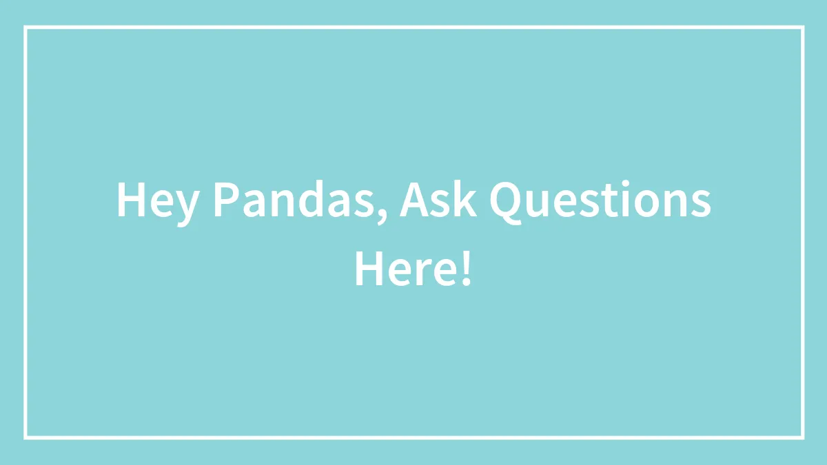 Hey Pandas, Ask Questions Here!