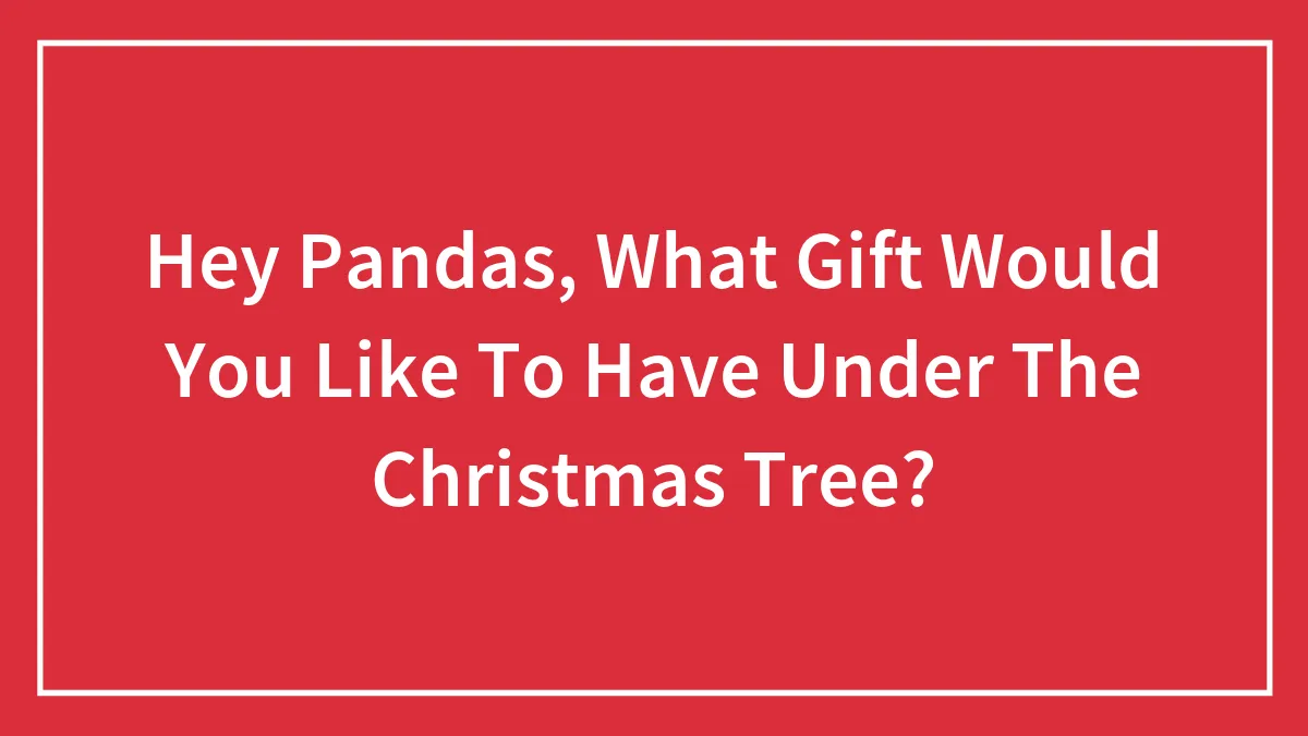 Hey Pandas, What Gift Would You Like To Have Under The Christmas Tree?