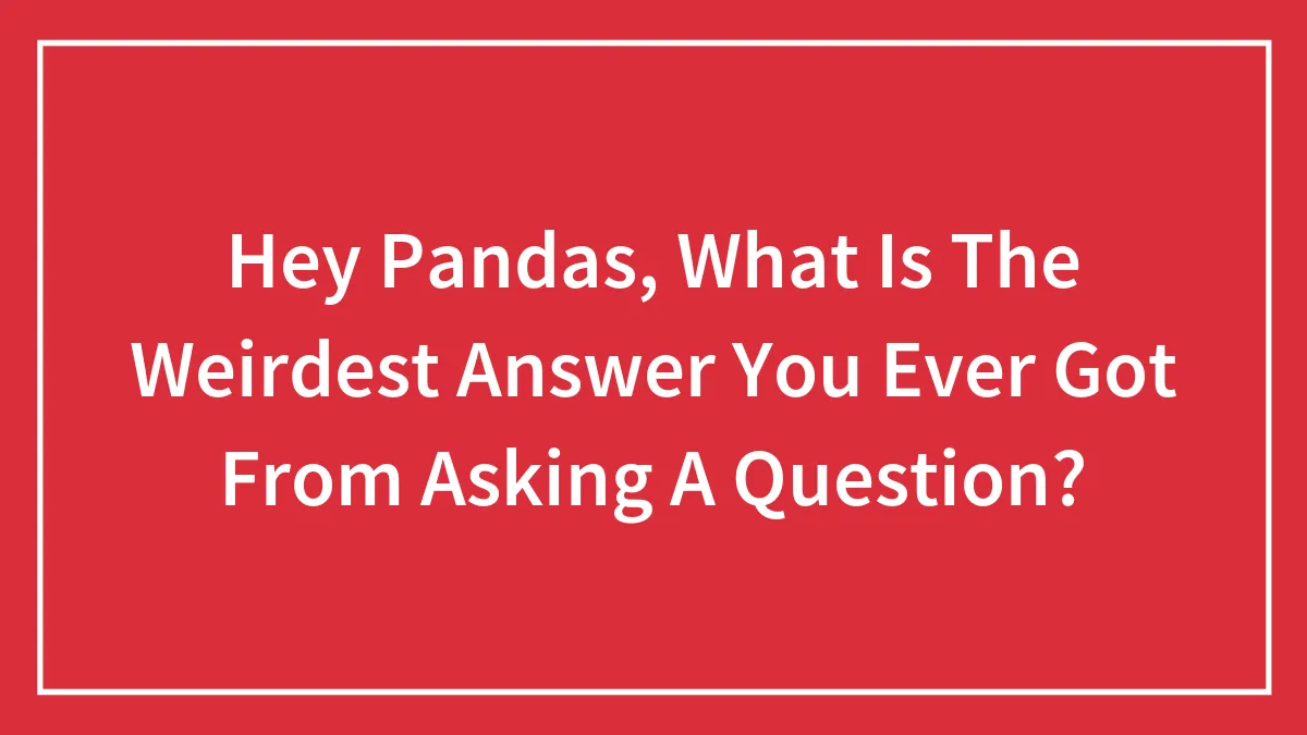 Hey Pandas, What Is The Weirdest Answer You Ever Got From Asking A Question?