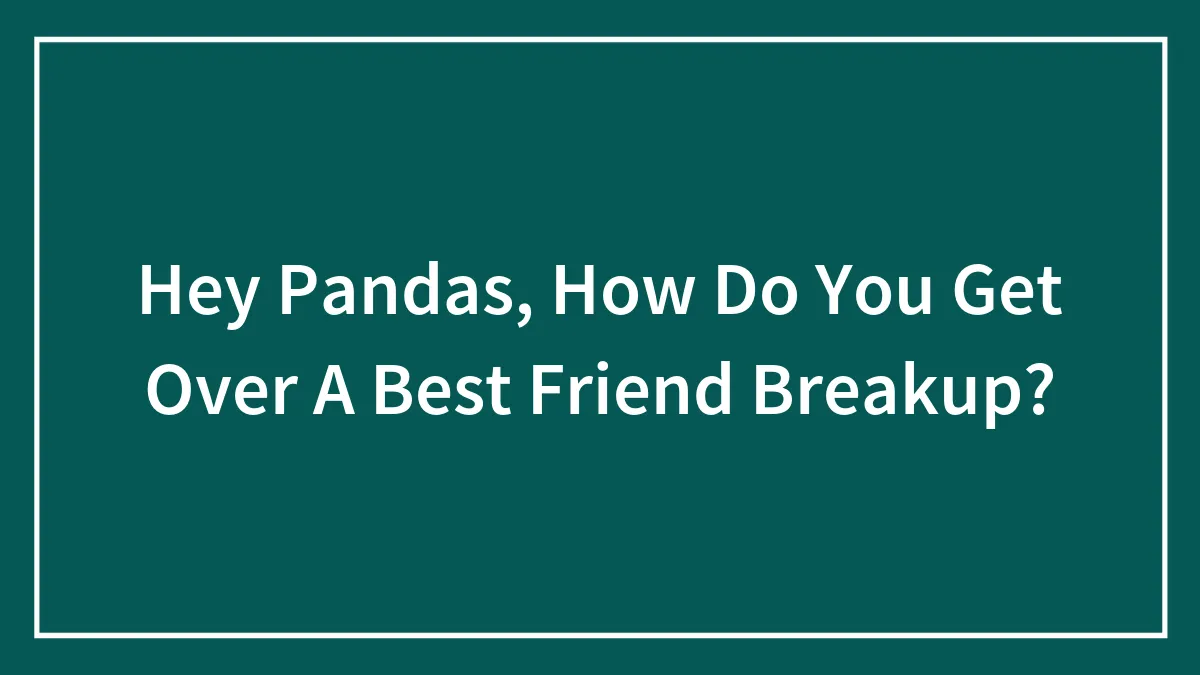 Hey Pandas, How Do You Get Over A Best Friend Breakup? (Closed)