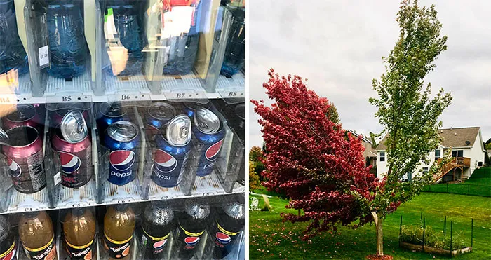 50 Crazy Pics Of Mother Nature Doing Things On Its Own Terms (New Pics)