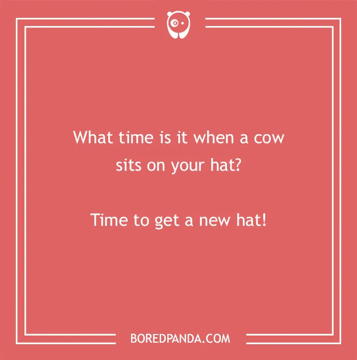 Cow pun on a red background asking what time it is when a cow sits on your hat with a humorous punchline.