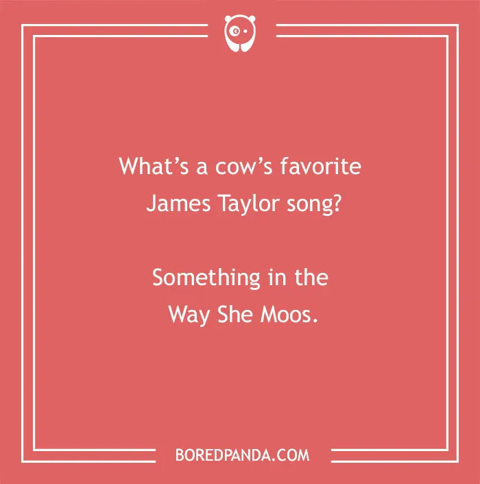 Cow pun joke asking about a cow's favorite James Taylor song with a humorous play on words.