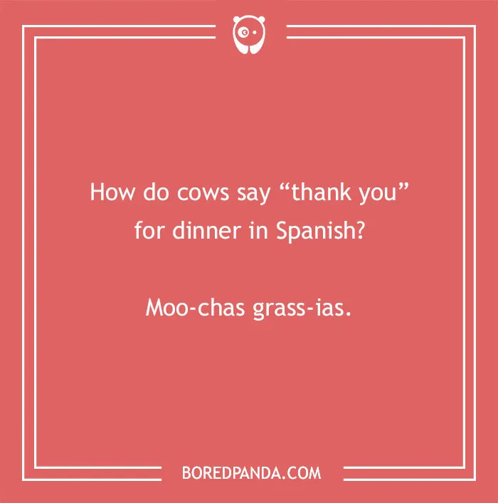 Got me cow-pletely charmed