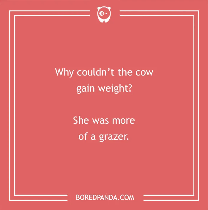 Cow pun joke on a red background asking why the cow couldn’t gain weight and answering she was more of a grazer.