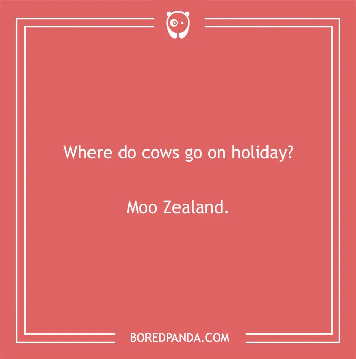 Cow pun joke asking where cows go on holiday with the punchline Moo Zealand highlighting cow puns humor.