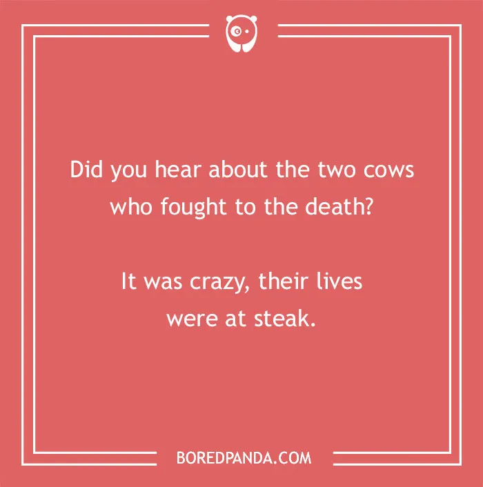 Cow pun joke on a red background about two cows fighting to the death with lives at steak.