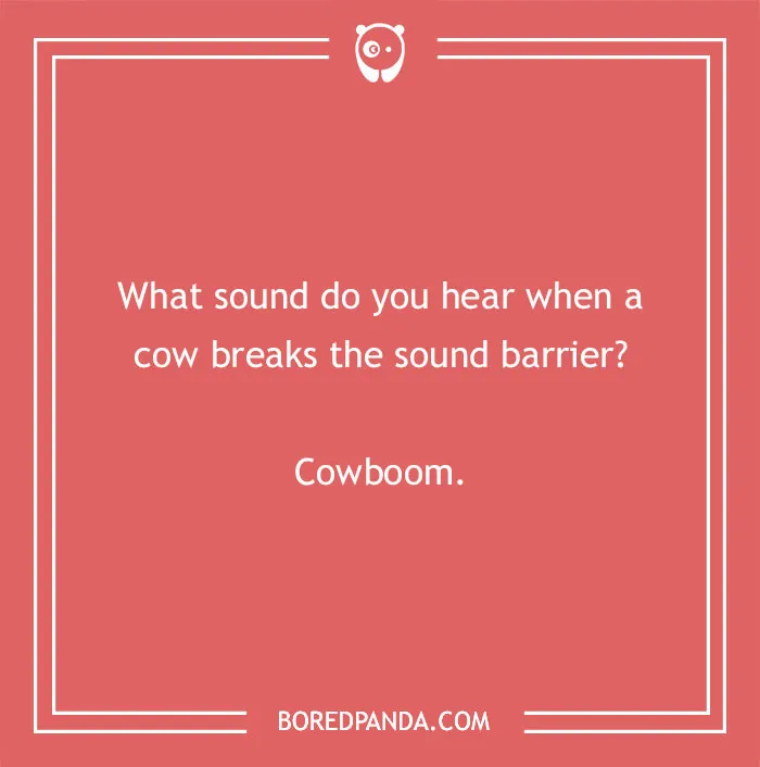Cow pun on a red background asking about the sound when a cow breaks the sound barrier with the answer cowboom.