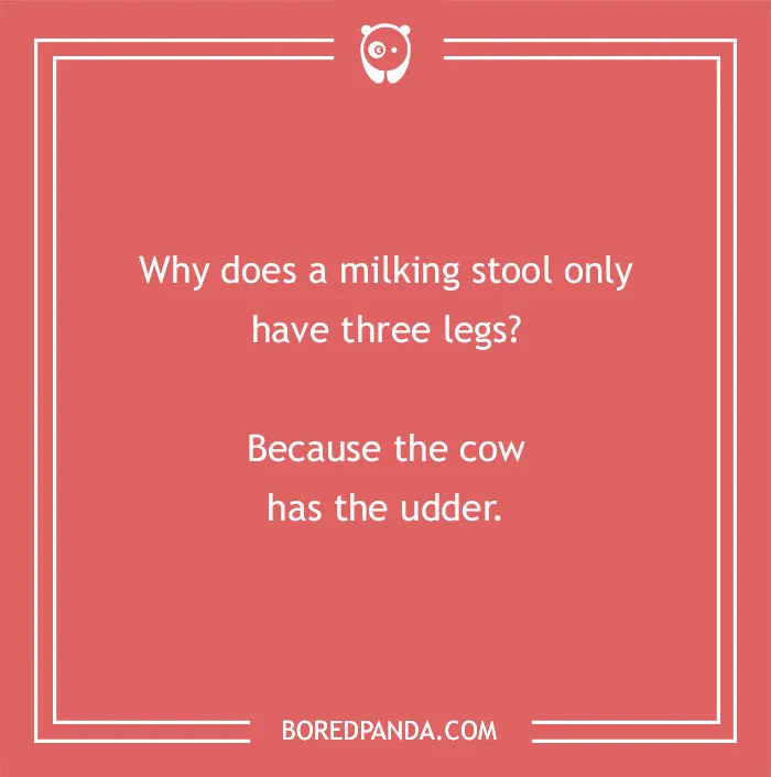 Cow pun joke on a red background asking why a milking stool has three legs because the cow has the udder.