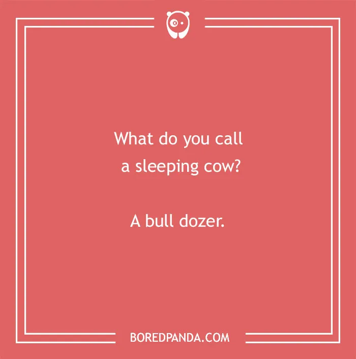 Cow pun joke on a red background asking what you call a sleeping cow with the answer a bull dozer.