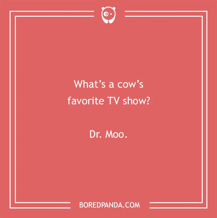 Cow pun humor asking about a cow's favorite TV show with the answer Dr. Moo on a red background.