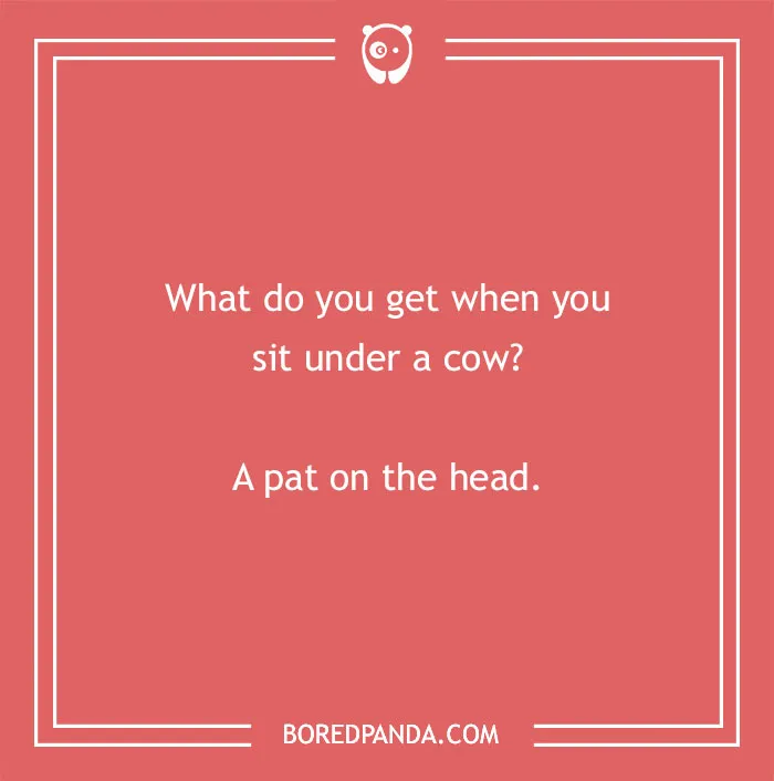 Cow pun on a red background with white text asking what you get when sitting under a cow and giving a playful answer.