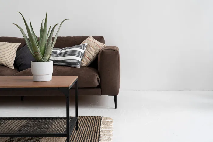 Having A Barren House