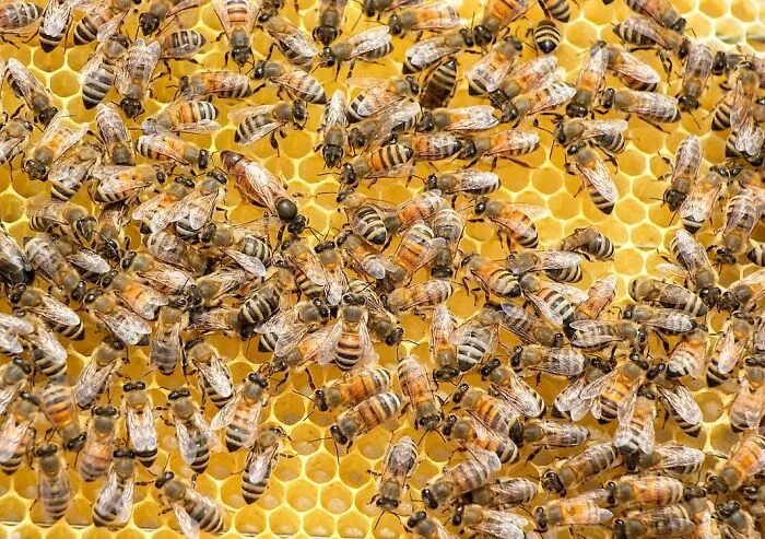 50 Pieces Of ‘Uplifting News’ From 2023 For Those Who Are Fed Up With The Bad News