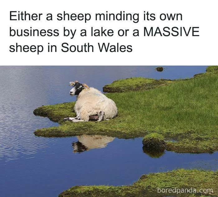 50 Funny British Memes To Crack You Up